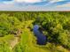 Aerial view of lush property featuring a pond, mature trees, and rustic outbuildings at 4304 River Rd, Johns Island, SC 29455