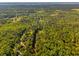Expansive aerial view of lush, dense woodland with a tranquil river running through at 4304 River Rd, Johns Island, SC 29455