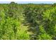 Extensive aerial view of dense woods showcasing lush trees and clearings at 4304 River Rd, Johns Island, SC 29455