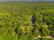 An aerial view displays a wooded lot with a private pond, home, and outbuildings at 4304 River Rd, Johns Island, SC 29455