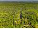 Lush aerial shot showcasing a dense, green forest with a large pond and sprawling country homes at 4304 River Rd, Johns Island, SC 29455