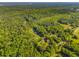 An aerial view of a sprawling wooded property featuring a private pond and a residence at 4304 River Rd, Johns Island, SC 29455