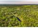 Breathtaking view of a verdant wooded landscape featuring a long pond, a house, and roads at 4304 River Rd, Johns Island, SC 29455