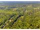 Extensive aerial view showcasing dense woods with a winding stream and distant coastal plains at 4304 River Rd, Johns Island, SC 29455
