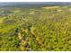 Sprawling aerial view of lush, dense woodland, with a tranquil river and distant fields at 4304 River Rd, Johns Island, SC 29455