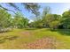 Spacious backyard featuring a well-maintained lawn, various sheds, and mature trees at 4304 River Rd, Johns Island, SC 29455