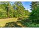 Picturesque land showcasing grassy meadow bordered by lush trees, providing privacy and natural beauty at 4304 River Rd, Johns Island, SC 29455