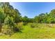 Picturesque land showcasing grassy field surrounded by lush greenery and mature trees under a clear sky at 4304 River Rd, Johns Island, SC 29455