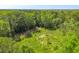 A vibrant green open field surrounded by dense trees at 4304 River Rd, Johns Island, SC 29455