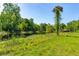 Picturesque pond surrounded by lush greenery and palm trees, creating a tranquil setting at 4304 River Rd, Johns Island, SC 29455