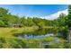 Picturesque pond surrounded by lush greenery, creating a tranquil setting at 4304 River Rd, Johns Island, SC 29455