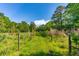 Overgrown open trail on property with wooden fence, providing privacy at 4304 River Rd, Johns Island, SC 29455