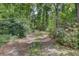 Secluded property with a serene dirt path winding through lush greenery, perfect for nature lovers at 4680 Bears Bluff Rd, Wadmalaw Island, SC 29487