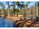 Scenic pond bordered by tall trees and inhabited by geese, offering a tranquil and natural environment at 120 Rancho Hippey Way, Saint George, SC 29477