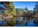 Picturesque pond view featuring mature trees, a fountain, and ducks, creating a serene natural ambiance at 120 Rancho Hippey Way, Saint George, SC 29477