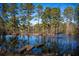 Scenic view of a tranquil pond with a dock, boat, and fountain, framed by mature trees and lush greenery at 120 Rancho Hippey Way, Saint George, SC 29477