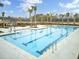 Relaxing community pool featuring clear blue water, palm trees, and nearby seating at 138 O'Malley Dr, Summerville, SC 29483