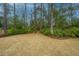 Expansive backyard features lush trees, a play area, and plenty of room for activities at 206 President Cir, Summerville, SC 29483