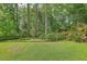 Expansive backyard with lush green grass, mature trees, and ample space for outdoor activities at 206 President Cir, Summerville, SC 29483