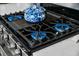 Close-up of a gas stove with a blue and white pot and burner, with stainless steel knobs on the oven at 296 Firewheel Ct, Summerville, SC 29486