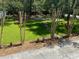 Backyard landscape featuring picnic tables and a fire pit at 301 E Richardson Ave, Summerville, SC 29483