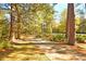 Scenic view of a paved walkway lined with mature trees, providing a tranquil and inviting atmosphere at 301 E Richardson Ave, Summerville, SC 29483