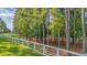 A fenced dog park featuring agility tunnels, benches, and green grass, set amidst towering pine trees at 352 Great Lawn Dr, Summerville, SC 29486