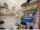 Organized walk-in pantry featuring ample shelving for food storage at 352 Great Lawn Dr, Summerville, SC 29486