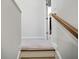 Bright stairway features carpeted steps and a wooden railing leading to the upper level at 352 Great Lawn Dr, Summerville, SC 29486