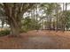 Community path through wooded area with mature trees at 700 Daniel Ellis Dr # 8304, Charleston, SC 29412