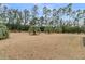 View of a spacious backyard featuring a large grassy area and mature trees providing shade at 714 Battery Edge Dr, Summerville, SC 29486