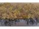 An aerial view of a lake featuring a fishing pier surrounded by dense woods at 7537 Parkers Ferry Rd, Adams Run, SC 29426