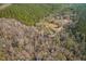 A stunning aerial view showcasing a mixture of evergreen and bare trees, perfect for a nature enthusiast's retreat at 7537 Parkers Ferry Rd, Adams Run, SC 29426