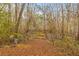 Picturesque scene of a wooded property with a leaf-covered path and a sense of tranquility at 7537 Parkers Ferry Rd, Adams Run, SC 29426