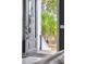 Entryway view of the black front door with glass and a palm tree in the yard at 775 Forrest Dr, Charleston, SC 29492