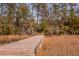 Scenic wooden walkway through marshland surrounded by tall grasses and trees at 775 Forrest Dr, Charleston, SC 29492