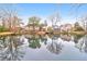 Scenic water view showcasing houses along the water's edge and a serene reflection of trees and sky at 783 Lake Frances Dr, Charleston, SC 29412