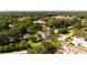 Scenic aerial shot of homes nestled among lush greenery in a peaceful neighborhood at 916 Kincade Dr, Mount Pleasant, SC 29464