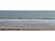 Beach view with sandy beach and ocean waves rolling into shore at 10 Toms Turnaround Cir, Edisto Island, SC 29438