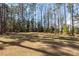 View of the wooded backyard at 123 White Picket Ln, Summerville, SC 29483