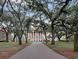 College campus with historic buildings and majestic trees at 133 Wentworth St, Charleston, SC 29401