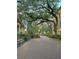 A picturesque park walkway featuring lush greenery, mature trees, and inviting benches at 133 Wentworth St, Charleston, SC 29401