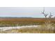 Landscape view of the marsh at 1607 Folly Creek Way Way # C-5, Charleston, SC 29412