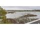 Marsh view from home shows natural habitat and distant buildings at 1607 Folly Creek Way Way # C-5, Charleston, SC 29412