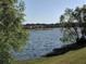 A tranquil lake view, with trees and foliage at 1702 Sparkleberry Ln, Johns Island, SC 29455