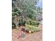 Seating among greenery creates a quiet backyard area at 204 Chamblee Rd, Walterboro, SC 29488