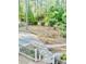 A view of a sprawling backyard with a stone walkway surrounded by trees at 204 Chamblee Rd, Walterboro, SC 29488