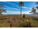 A scenic landscape view features a tranquil marsh and a picturesque waterfront backdrop at 2123 Boatwright Rd, Johns Island, SC 29455