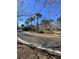Street view with palm trees and manicured lawns on a sunny day at 2905 Sweetleaf Ln, Johns Island, SC 29455