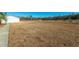 Large, open back yard with a neatly maintained lawn, bordering a tree line and the home in the distance at 516 & 508 Robnshers Pl, Ridgeville, SC 29472